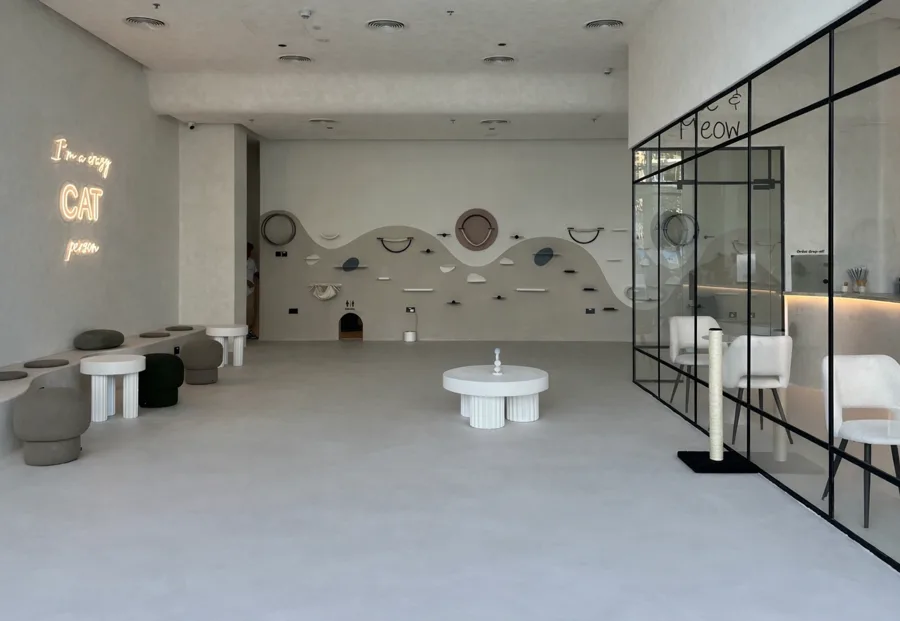 The Creek Harbour cafe: a bright white room with low seats and a wavy cat wall