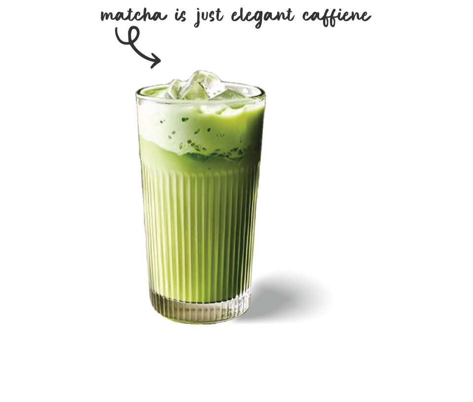 matcha at vibrissae cat café